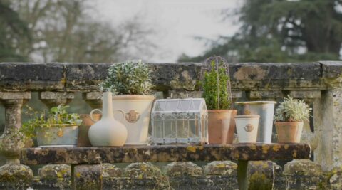 Divers pots de fleurs et plantes sur un vieux mur de pierre en extérieur.